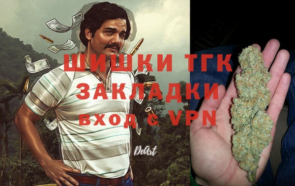твердый Абаза