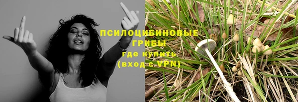 spice Алексин