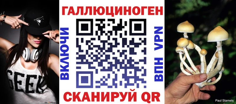 Галлюциногенные грибы Magic Shrooms  где купить наркоту  Котовск 